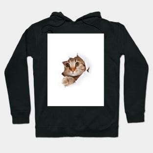 Curious Kitty Hoodie